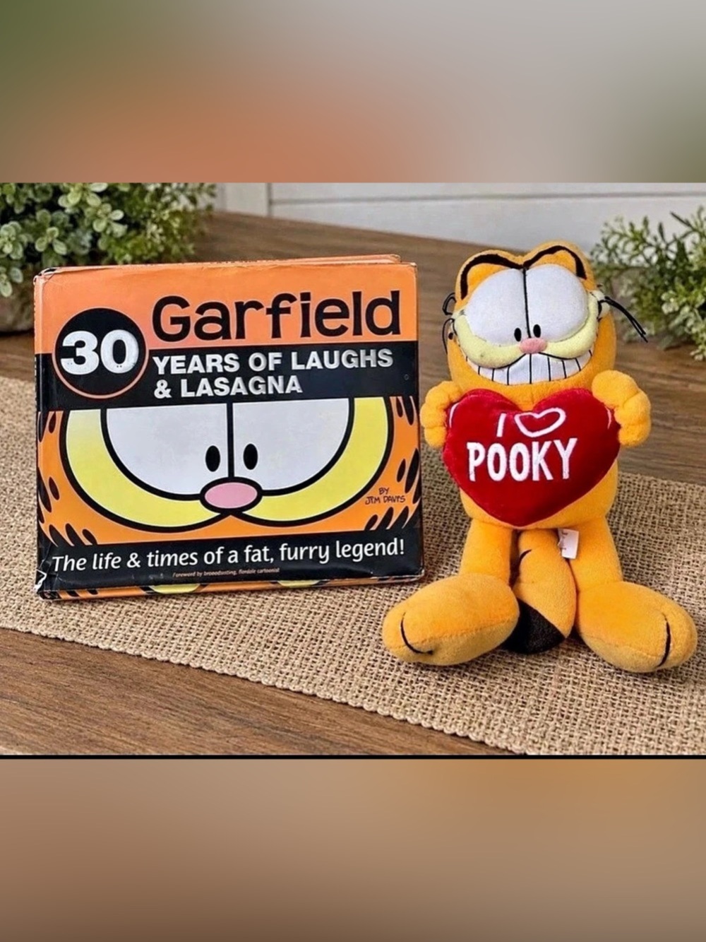 Vintage Nanco Garfield I Love Pooky Plush + 30 Years of Laughs & Lasagna Book